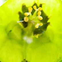 怎么去攻击一个网站与防护